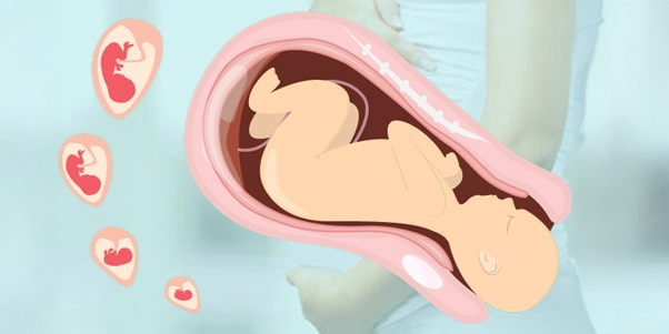 Normal Delivery Process Explained by Dr. Raman Narang – Expert Gynecologist in Jaipur